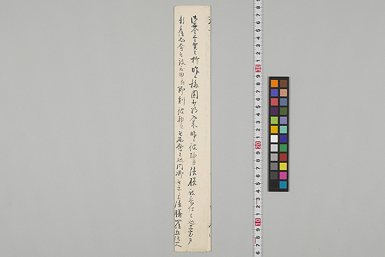 中精細画像