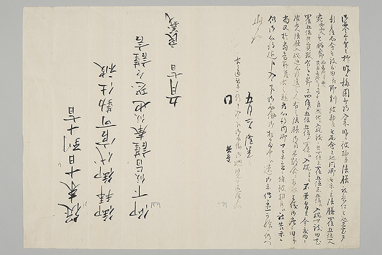 中精細画像