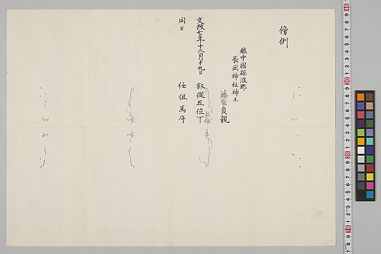 中精細画像