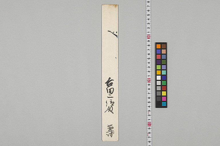 中精細画像
