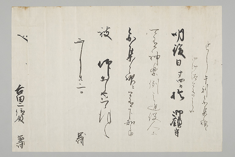 中精細画像