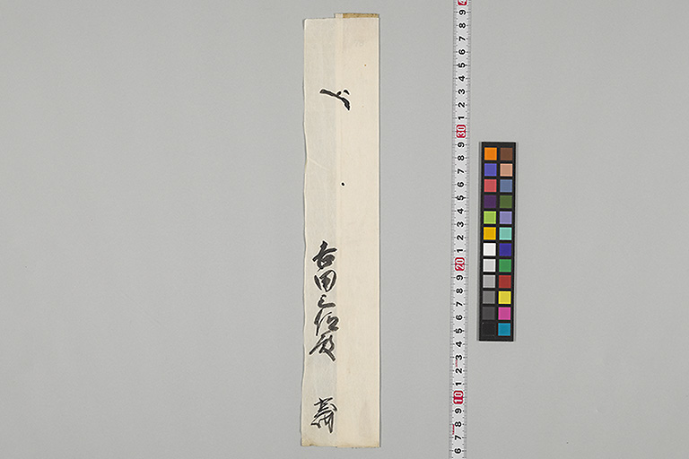 中精細画像