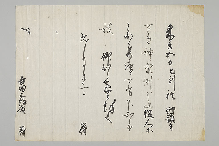 中精細画像
