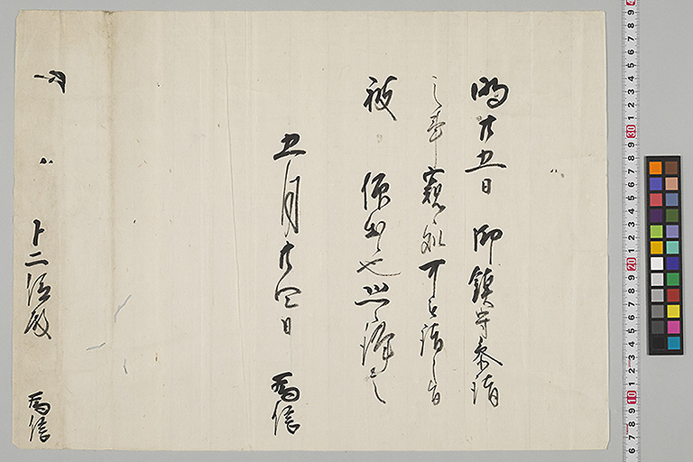 中精細画像