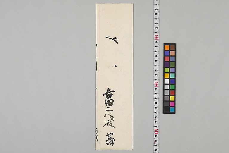 中精細画像