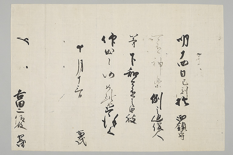 中精細画像