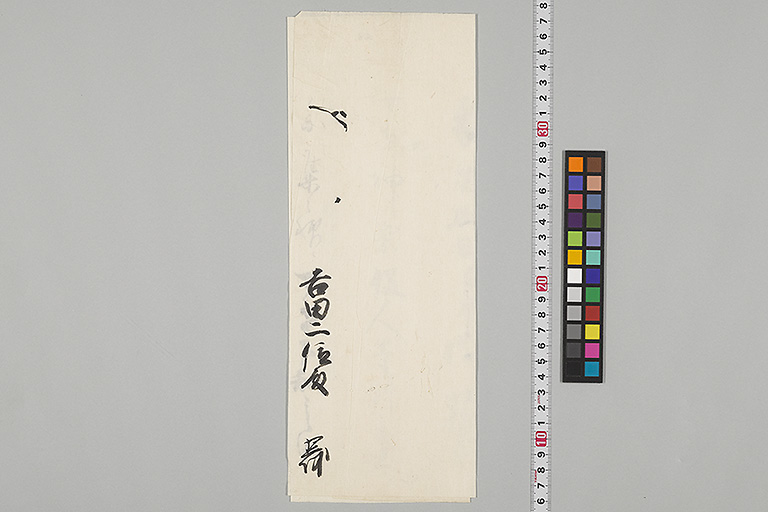 中精細画像