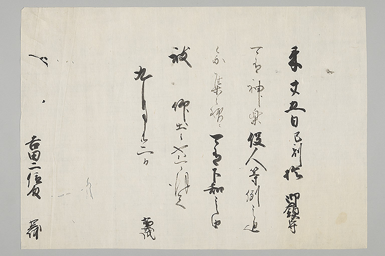 中精細画像