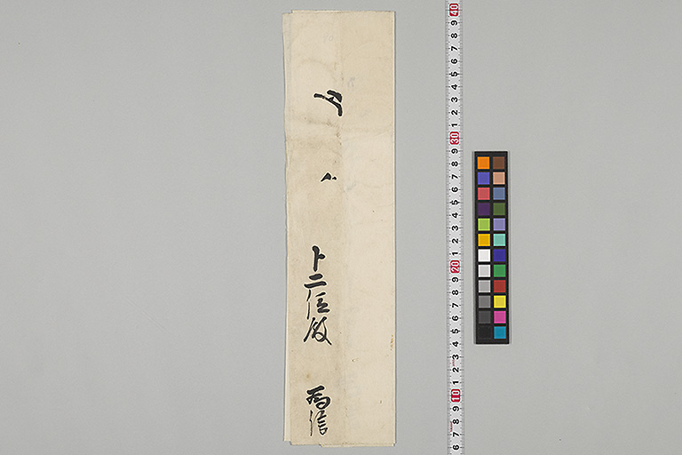 中精細画像