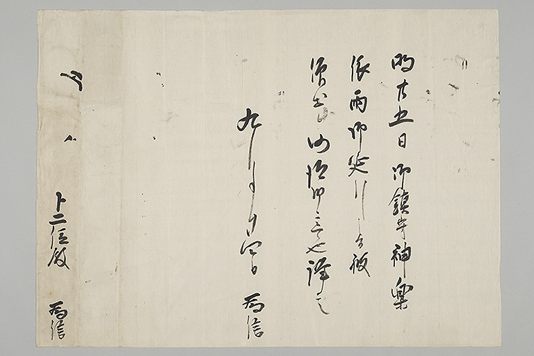 中精細画像