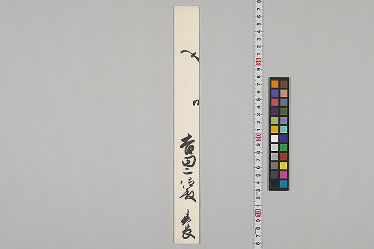 中精細画像