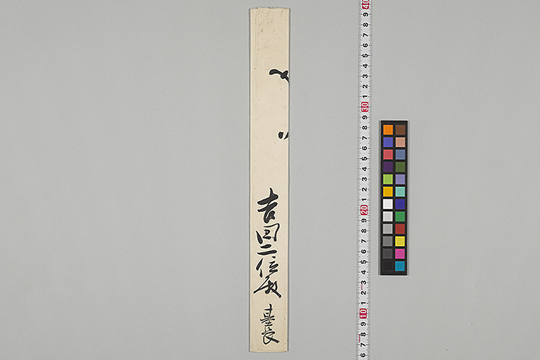 中精細画像
