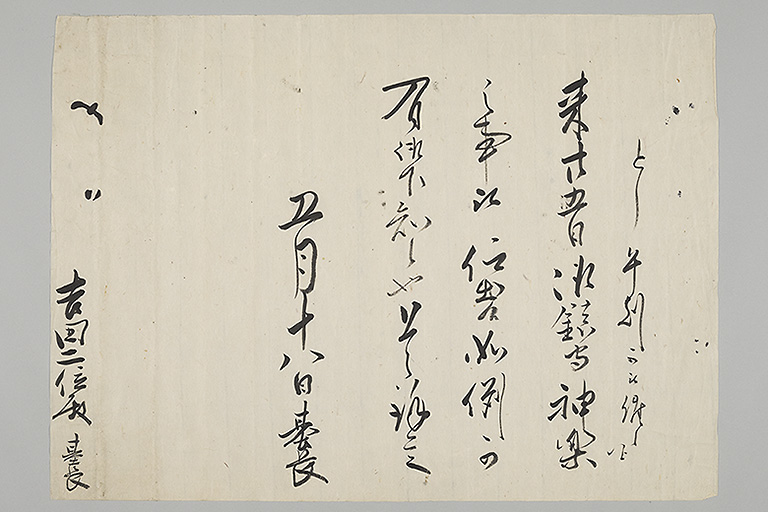 中精細画像