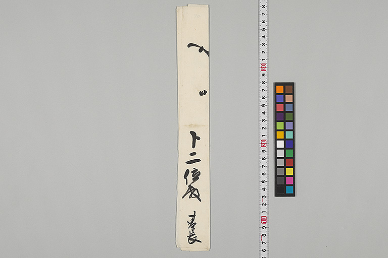 中精細画像