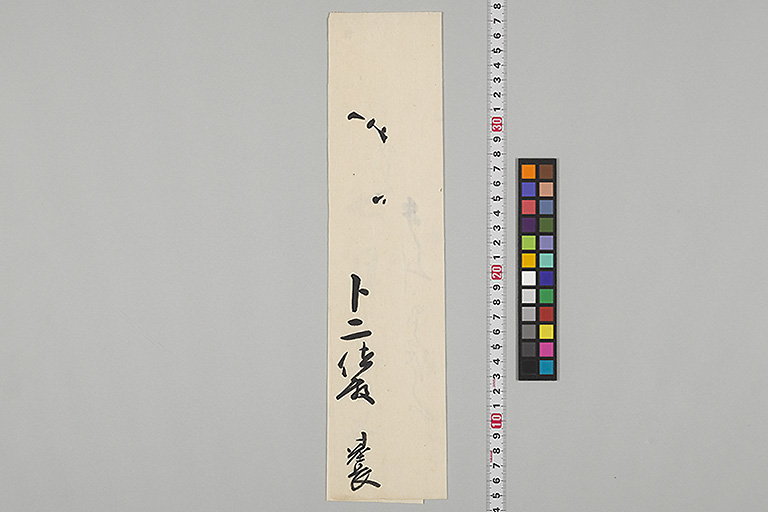 中精細画像