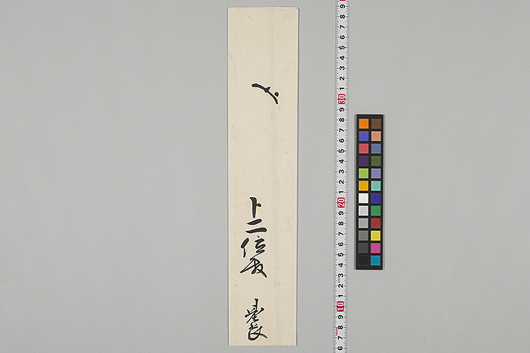 中精細画像