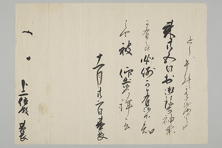 中精細画像