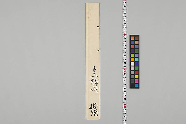 中精細画像