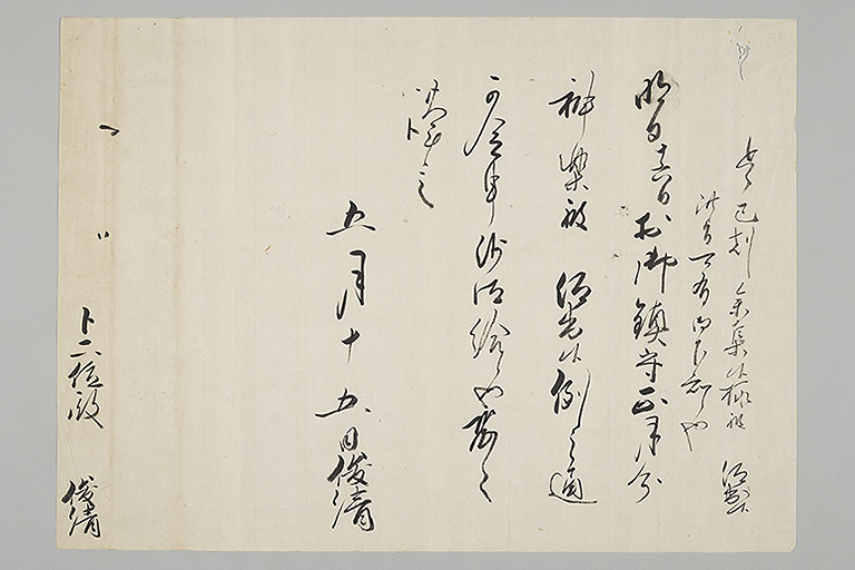 中精細画像