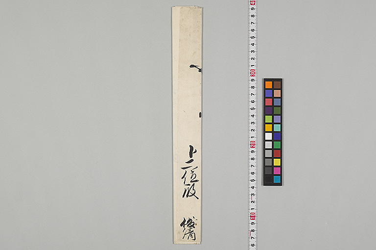 中精細画像
