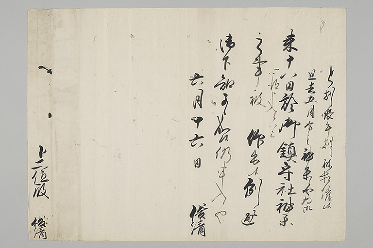 中精細画像