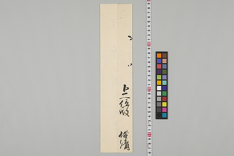中精細画像