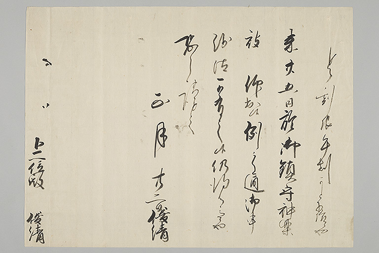 中精細画像