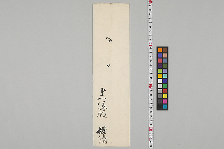 中精細画像