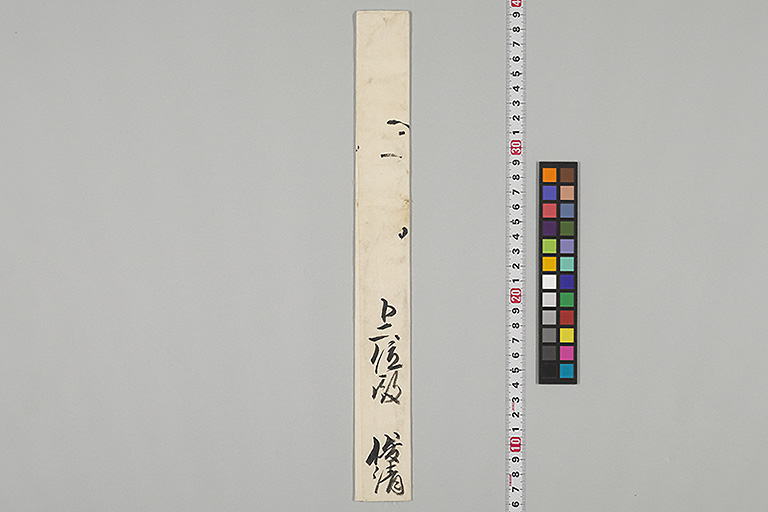 中精細画像