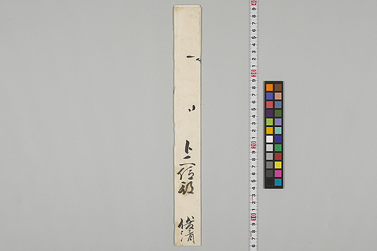 中精細画像