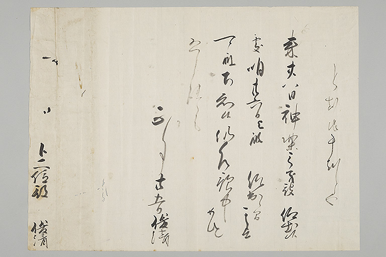 中精細画像