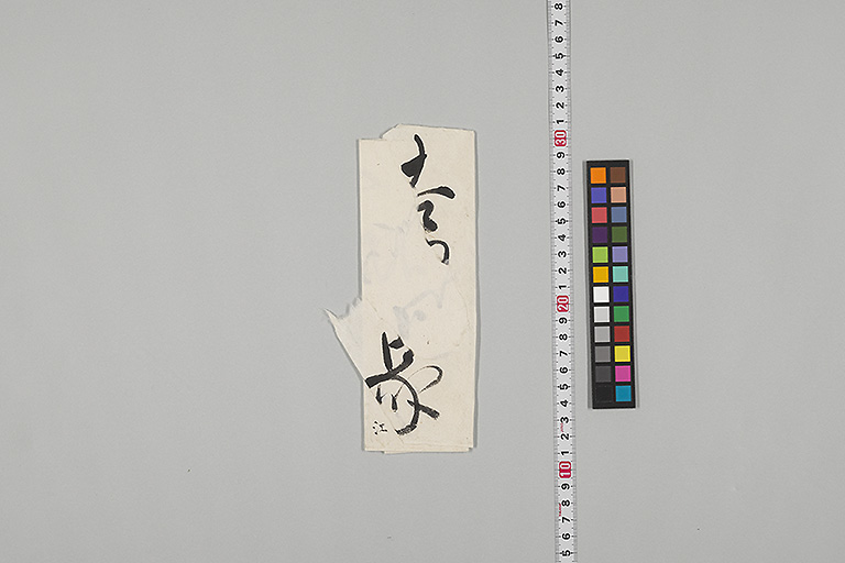 中精細画像