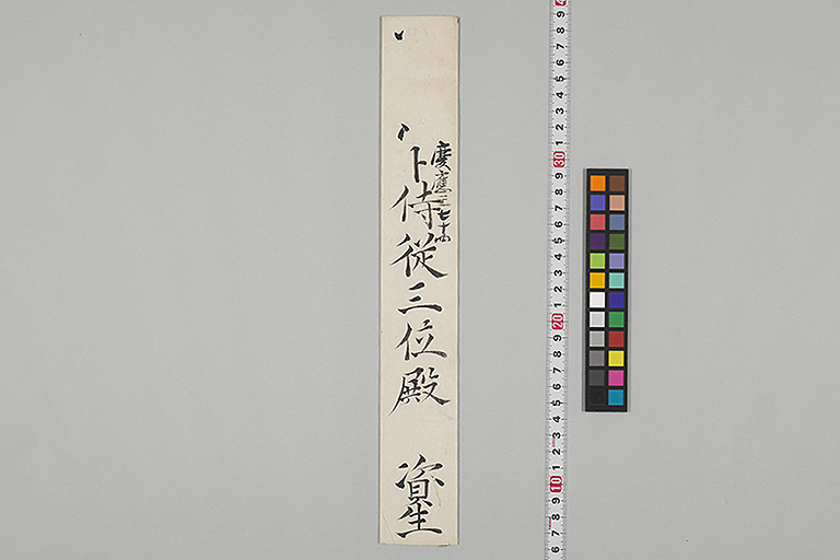 中精細画像