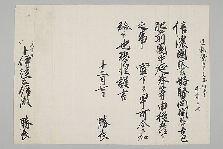中精細画像