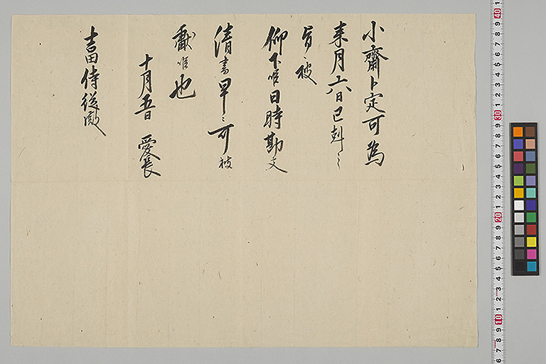 中精細画像