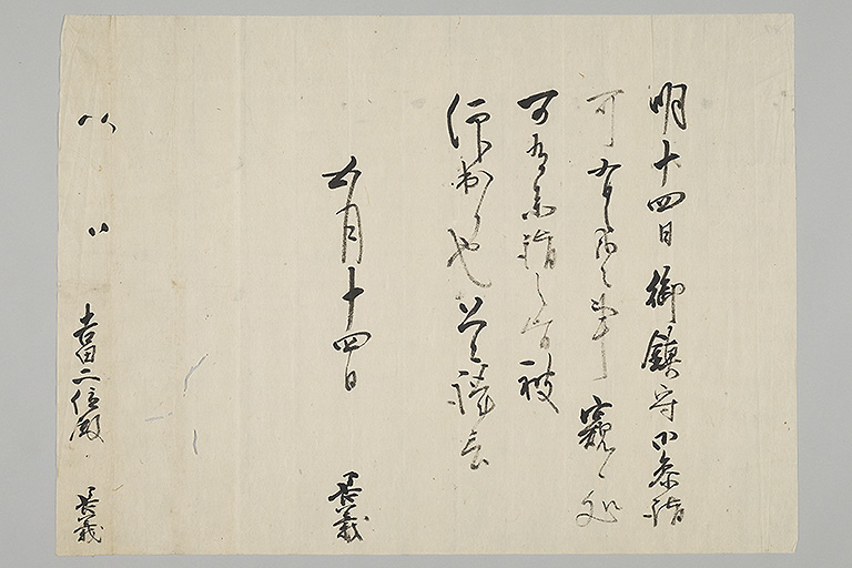 中精細画像