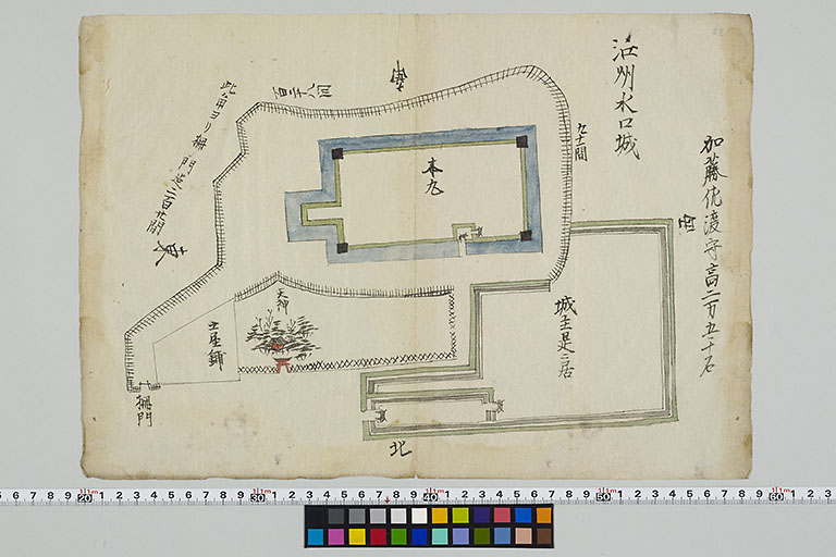 中精細画像