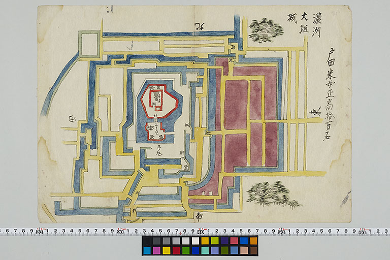 中精細画像