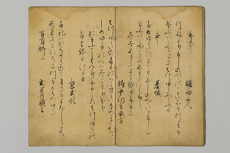 中精細画像
