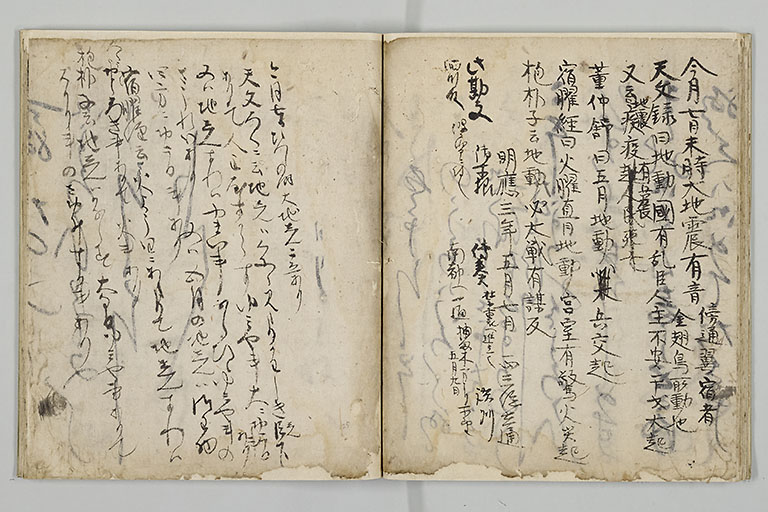 中精細画像