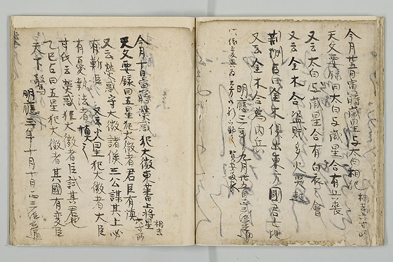 中精細画像