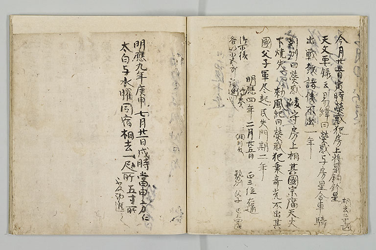 中精細画像