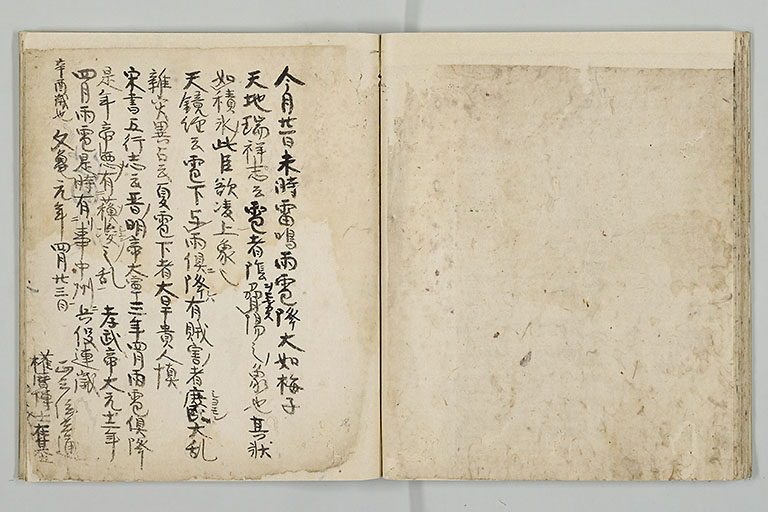中精細画像