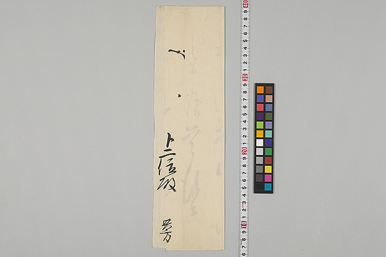 中精細画像