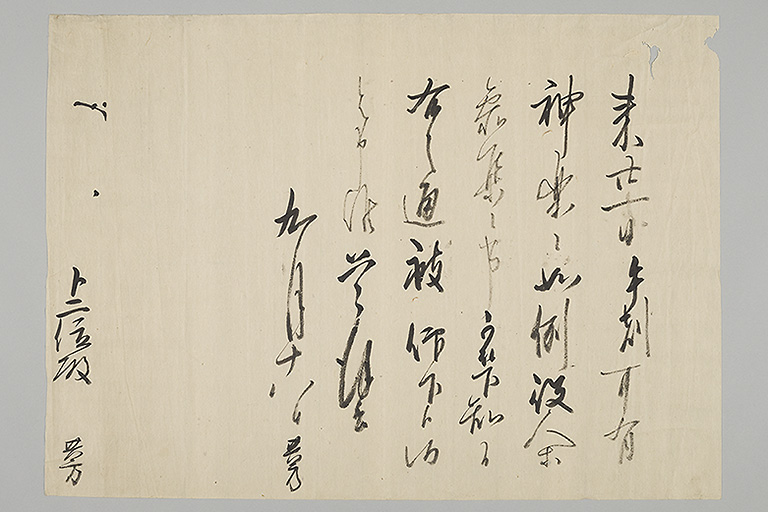 中精細画像
