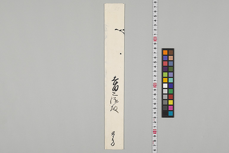 中精細画像