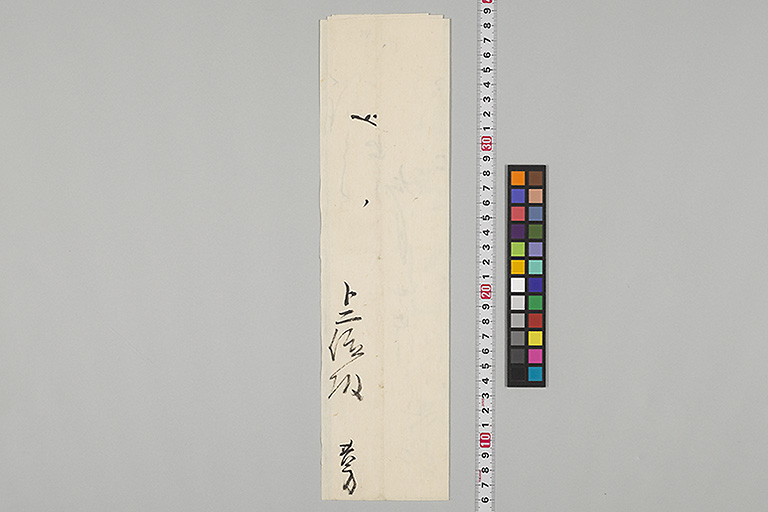中精細画像