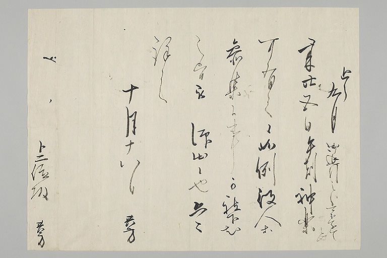 中精細画像