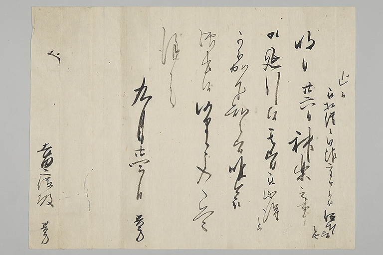 中精細画像