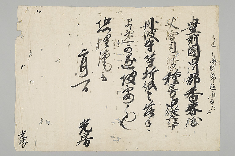 中精細画像